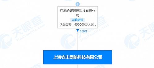 哈啰出行關聯公司注冊資本增至45億人民幣，信息系統集成服務成發展新引擎